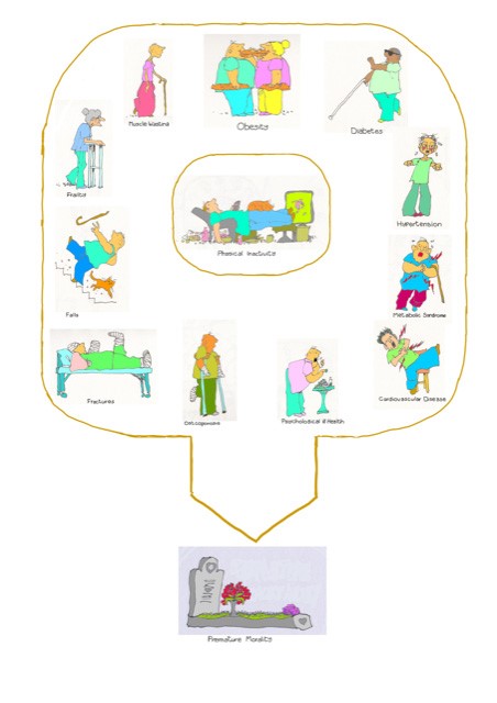 Frailty & Care of the Elderly